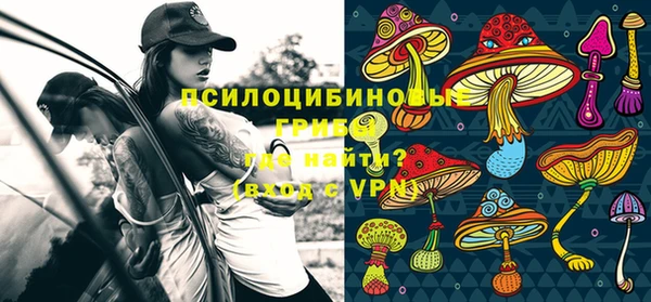 молекула духа Баксан