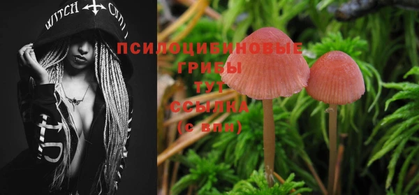 мдпв Балахна