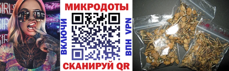 Галлюциногенные грибы прущие грибы  Заволжье 